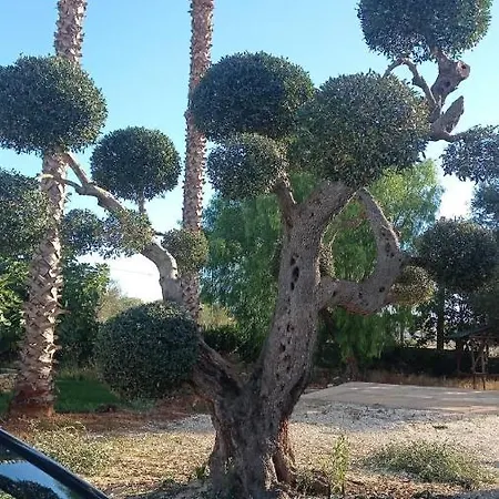 Le Pajare 住宿加早餐酒店 Sava