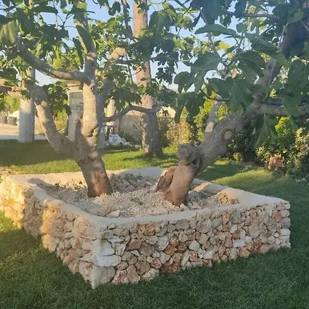 Bed and breakfast Le Pajare