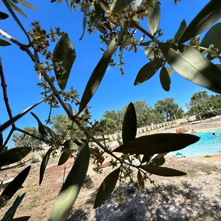 Le Pajare Bed and Breakfast 3*