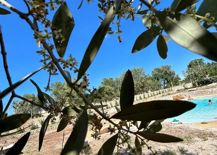 Le Pajare Bed & Breakfast 3*